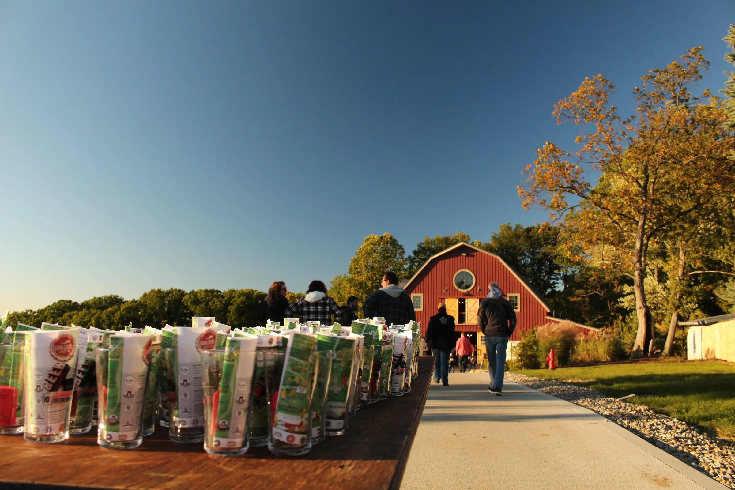 Farm Crawl on the night: rows of tasting cups lined up on the path to the Mapleside barn at golden hour