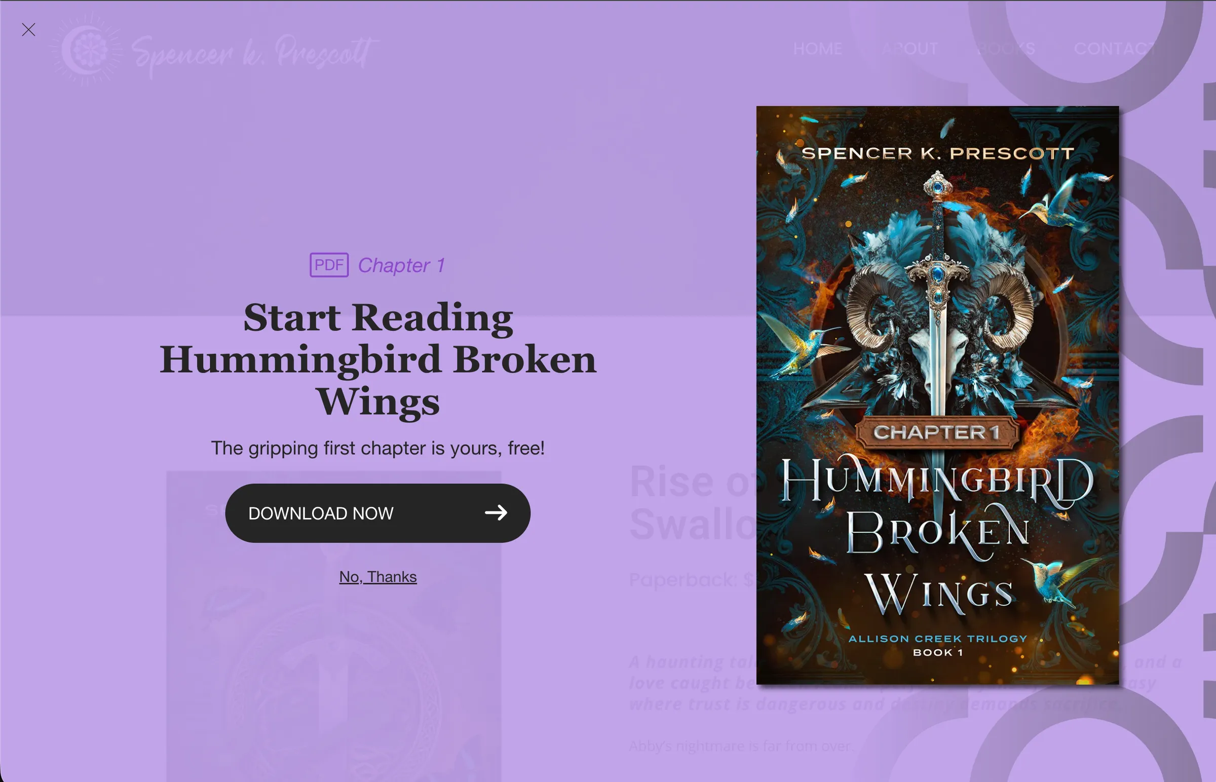 The site's lead capture: start reading Hummingbird Broken Wings, the first chapter free